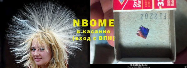 индика Алзамай
