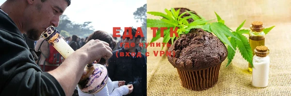 индика Алзамай