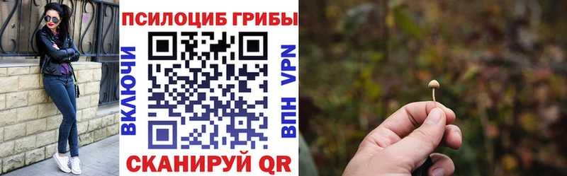 Псилоцибиновые грибы мицелий  даркнет наркотические препараты  Апатиты 